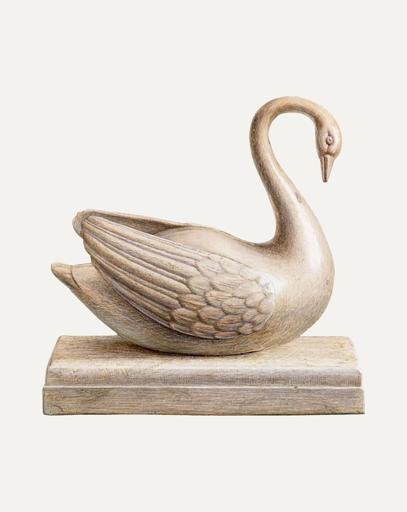 The Silent Swan